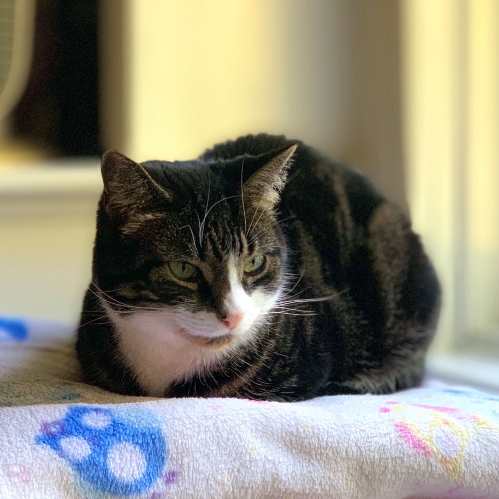 Just thinking about all the cool things I may find inside this closet!!